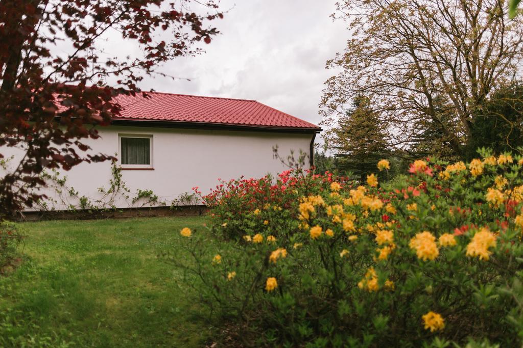 Bobrowa Dolina Acomodação com café da manhã Ryn  Exterior foto